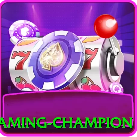 222t Gaming Champion - pak